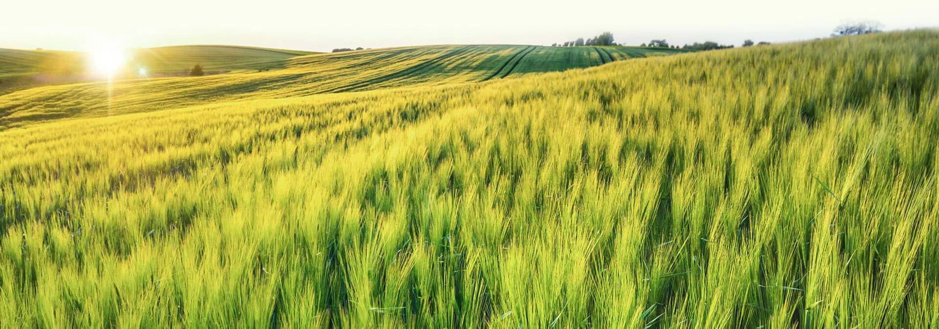 Nachhaltige Ressourcenbeschaffung: Recycling und die Verwertung von Mineralstoffen